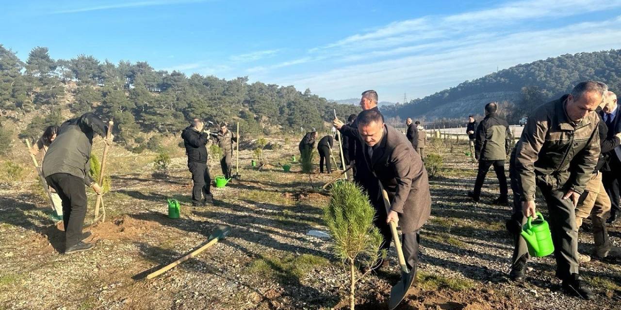 Çanakkale’de 6 Şubat 2023 Deprem Şehitleri Ormanı Kuruldu