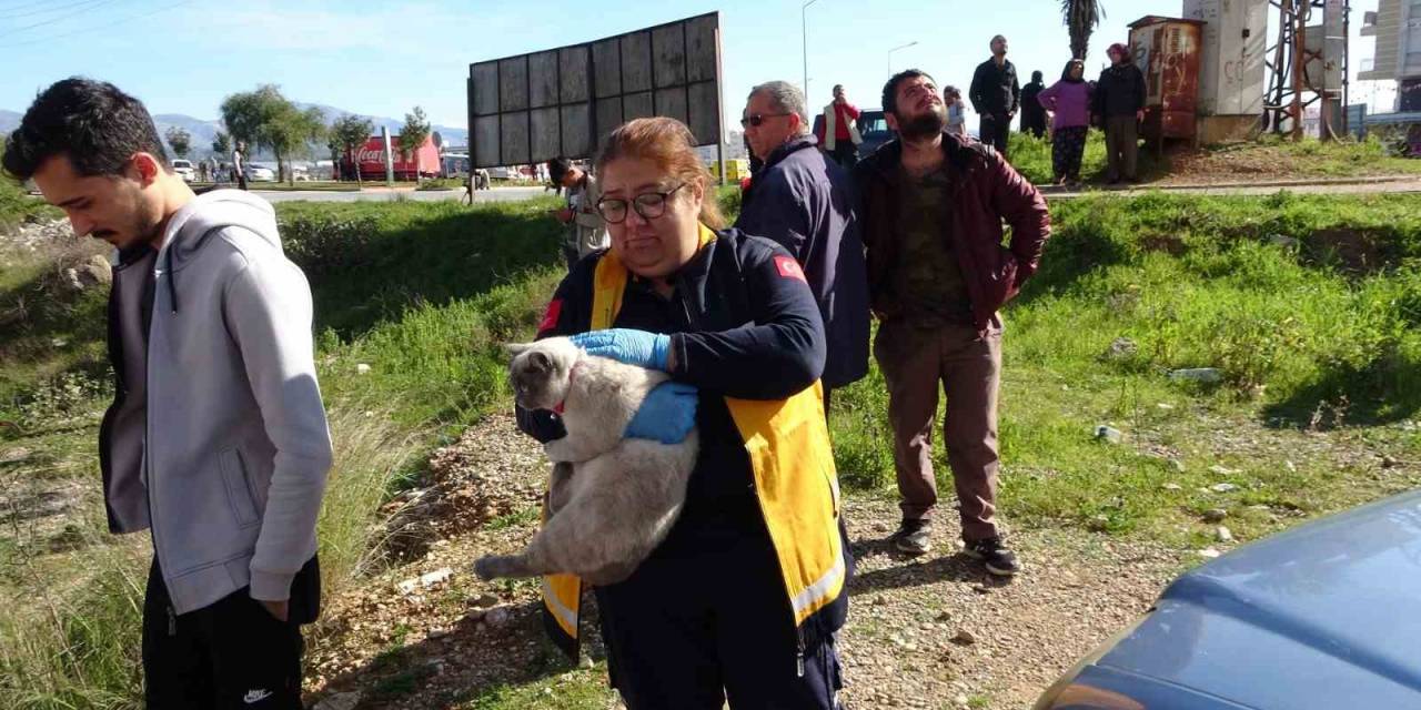 Tutuşan İzolasyon Malzemeleri Çatıyı Küle Çevirdi, Bina Sakinleri Gözyaşlarına Hakim Olamadı