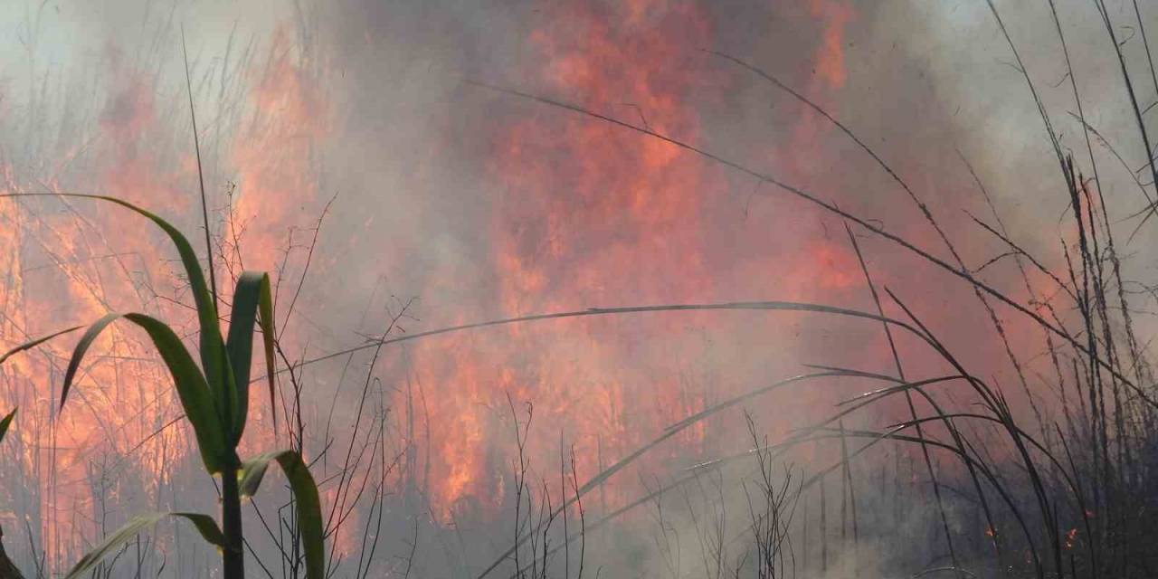 Kargılık Yangınında Alevlerin Boyu 5 Metreye Kadar Yükseldi