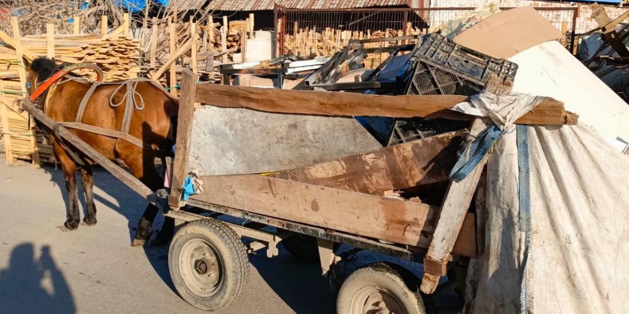 Manisa’da At Arabası Operasyonu: Üç At Arabasına El Konuldu