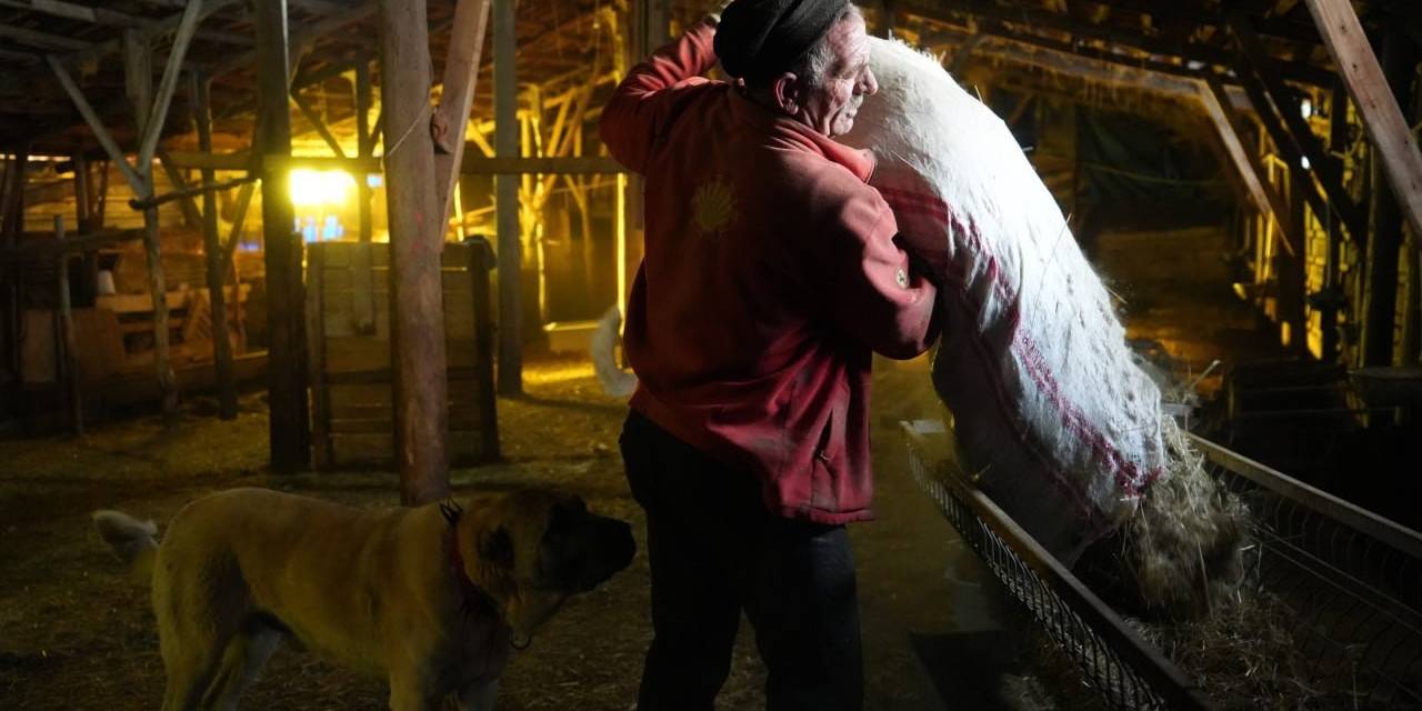 Bayburt’taki Besici Eksi 25 Derecede Hayvancılık İşini Severek Yapıyor Sürüsüne Gözü Gibi Bakıyor