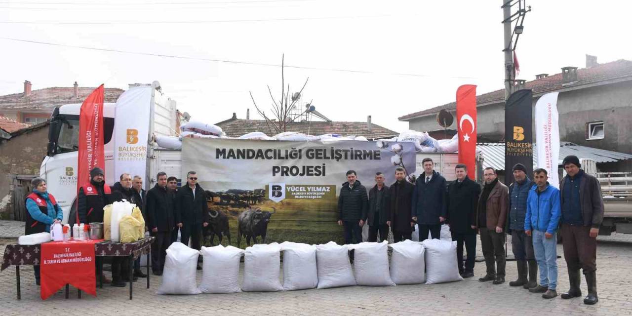 Balıkesir Büyükşehir’den Manda Yetiştiricilerine Destek