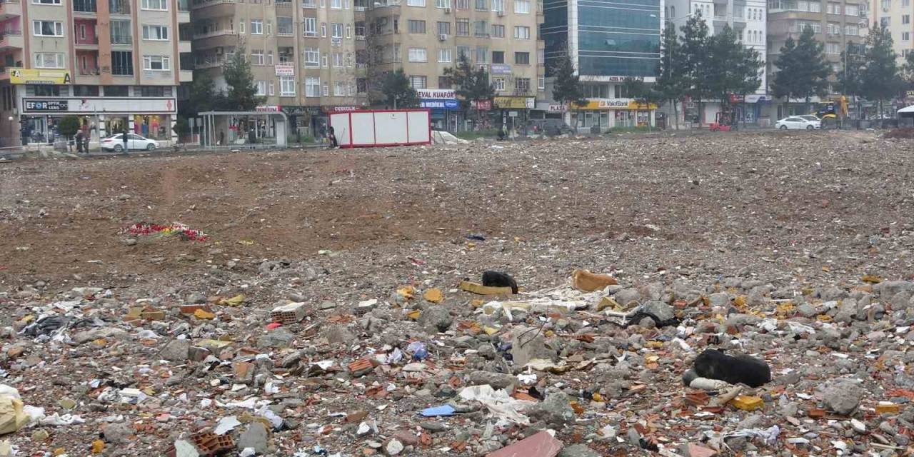 89 Kişiye Mezar Olan Galeria Sitesi Alanı Sokak Köpeklerinin Mekanı Haline Geldi