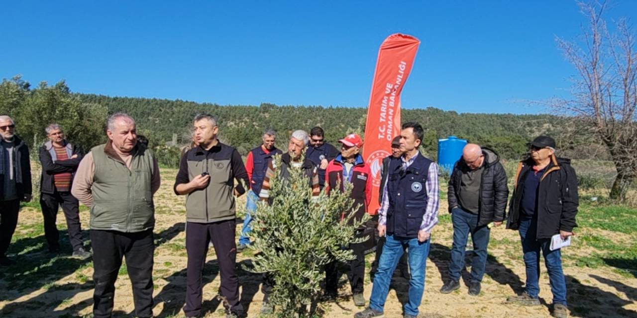 Çanakkale’de Zeytin Yetiştiricilerine Eğitim Verildi