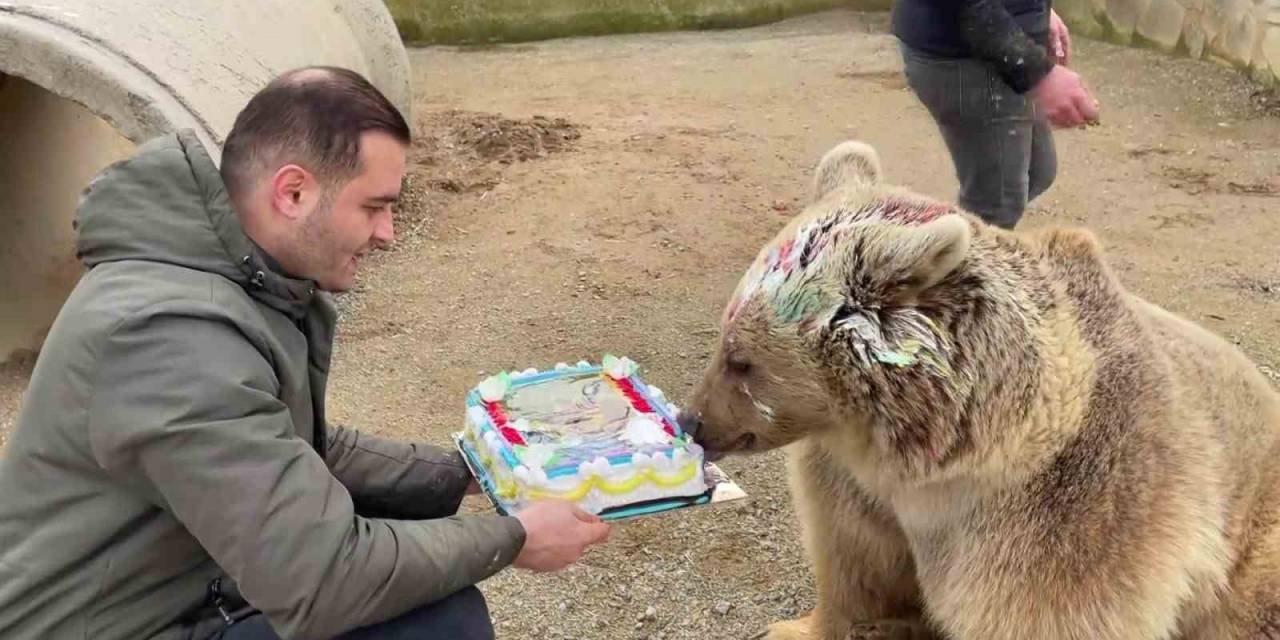 Ayı Silva’nın 5’inci Yaş Günü Pastayla Kutlandı