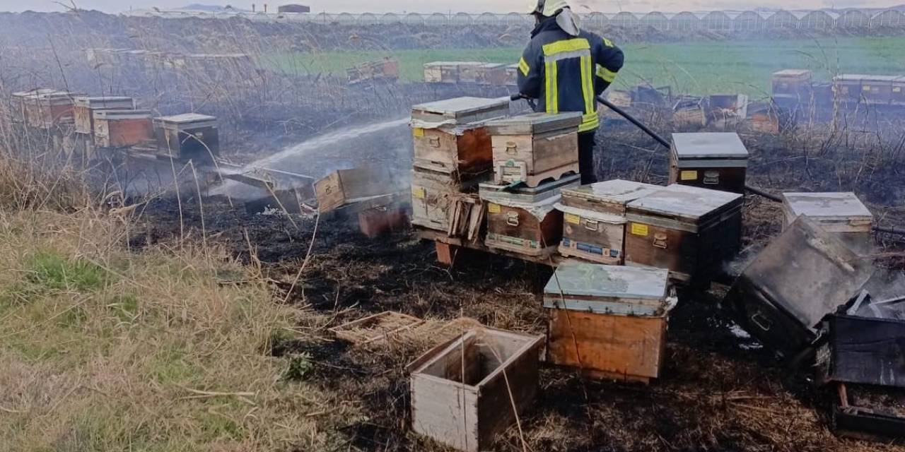 Arı Kovanları Yandı, Arılar Telef Oldu