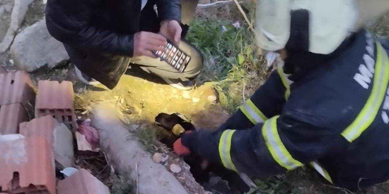 İtfaiye Bir Can Kurtardı