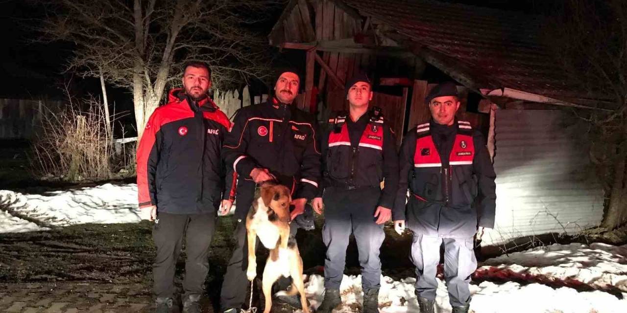 Kayalıkta Mahsur Kalan Köpek Kurtarıldı