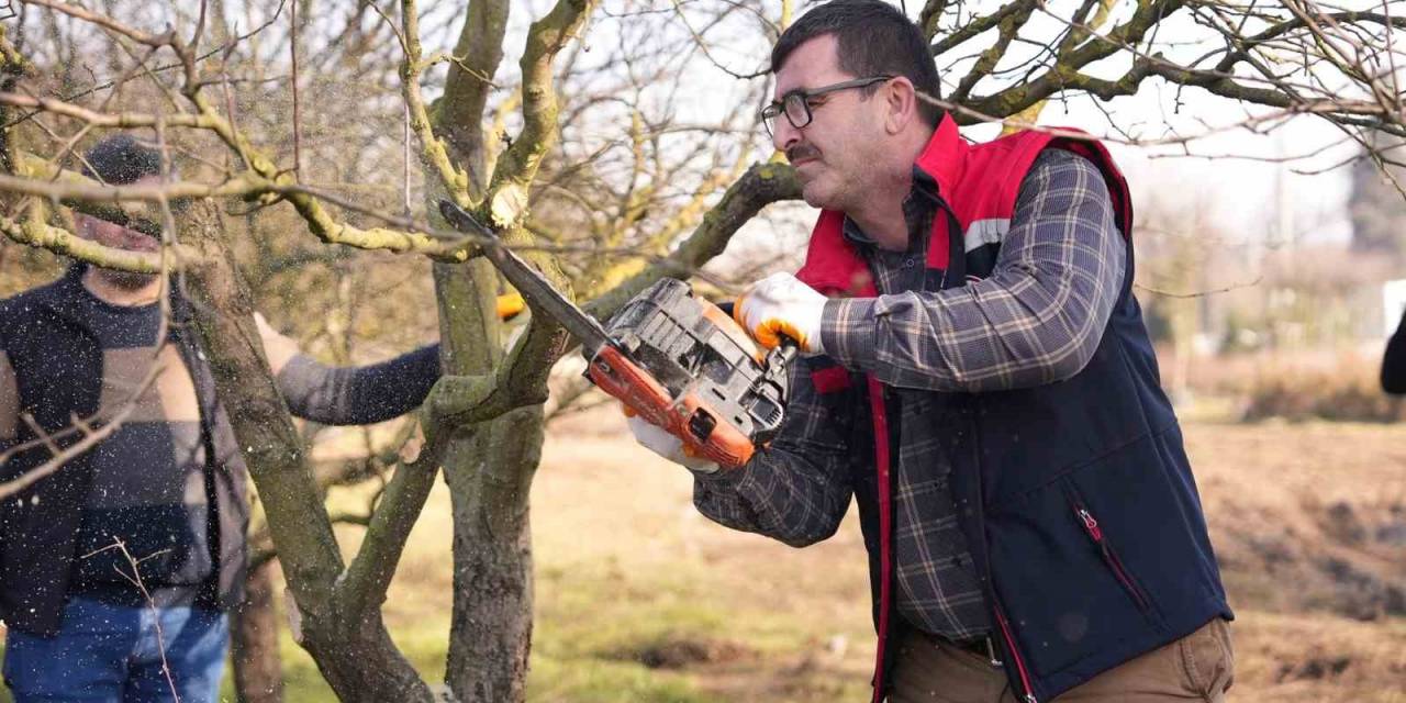 Doğru Budama Teknikleri Uygulamalı Öğretildi