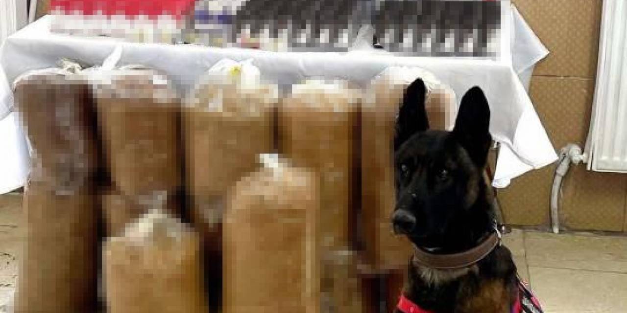 Elazığ’da Kaçakçılık Operasyonu: 1 Gözaltı