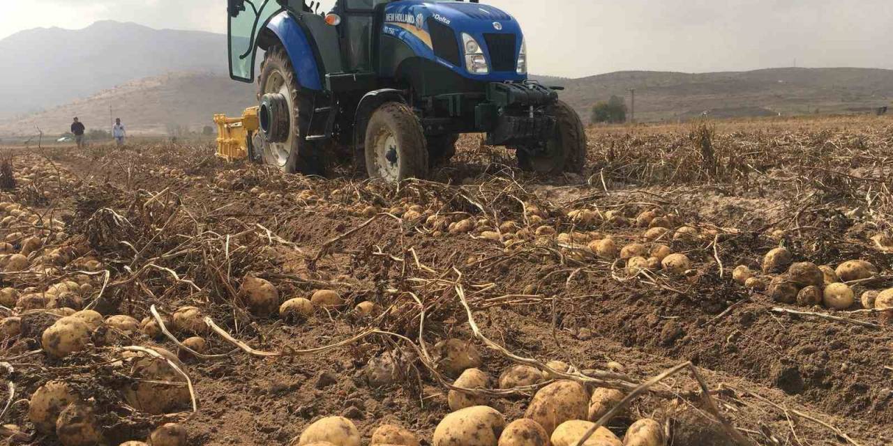 Ziraat Odası Başkanı Kenar: "Patates Fiyatlarında Artış Yok"