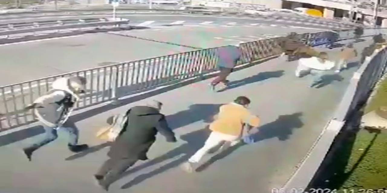 Adliyedeki Terör Saldırısında Hayatını Kaybeden Dilfıraz Karataş’ın Vurulduğu Anın Görüntüsü Ortaya Çıktı