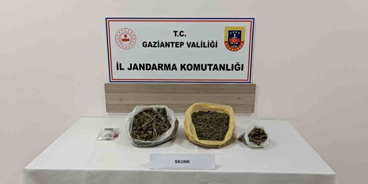 Gaziantep’te Skunk Operasyonu: 1 Tutuklama