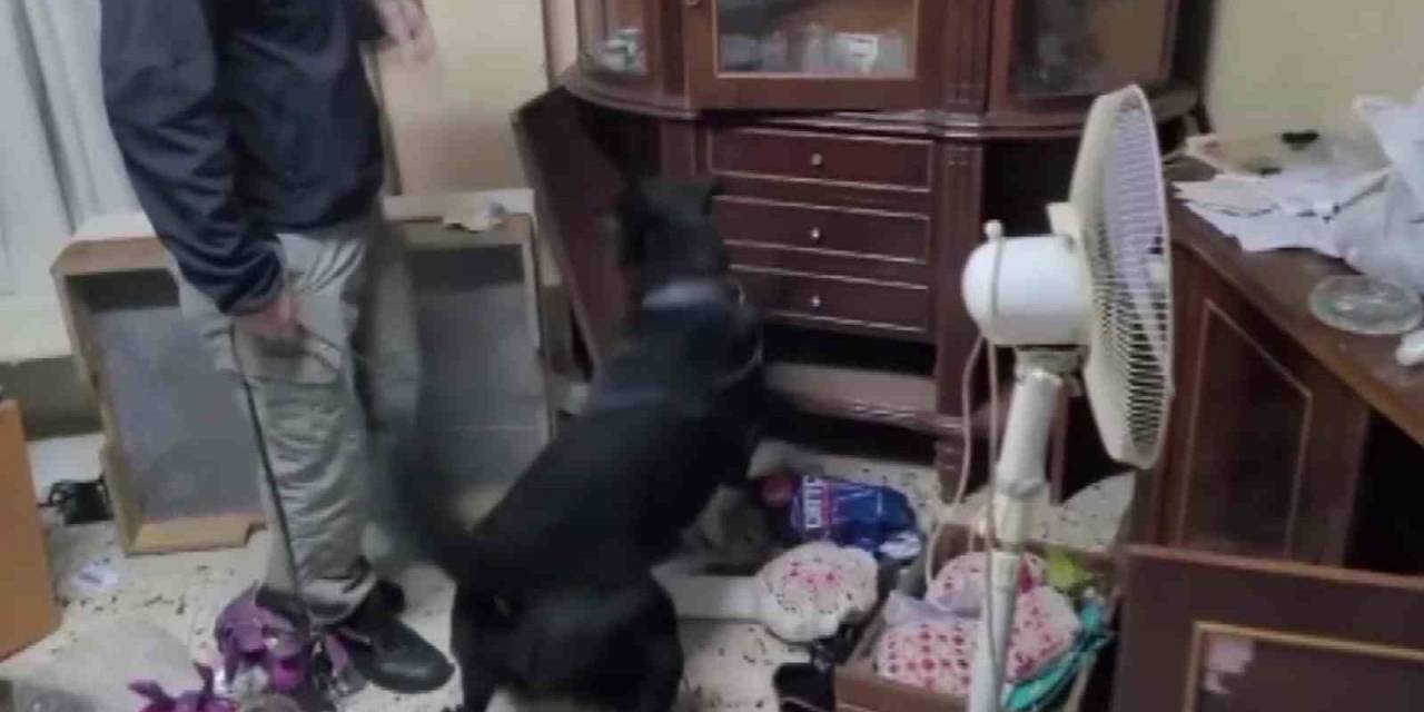 Adana’da “Narkogüç-48” Operasyonu: 16 Gözaltı