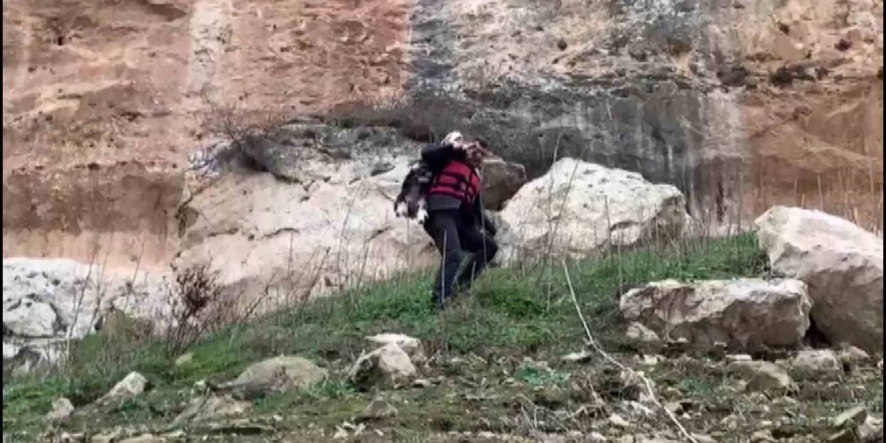 İtfaiye Eri Kayalıklarda Kurtardığı Keçiyi Sırtında Taşıyarak İndirdi