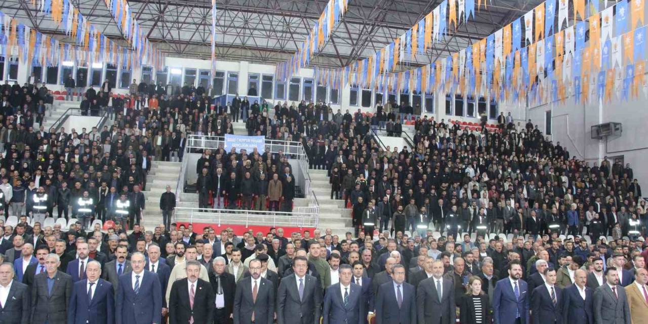Ak Parti Genel Başkan Yardımcısı Zeybekci: "Şırnak’ın Bütün İlçelerinde, Beldelerinde Ak Parti Hizmet Bayrağı Dalgalanacak"
