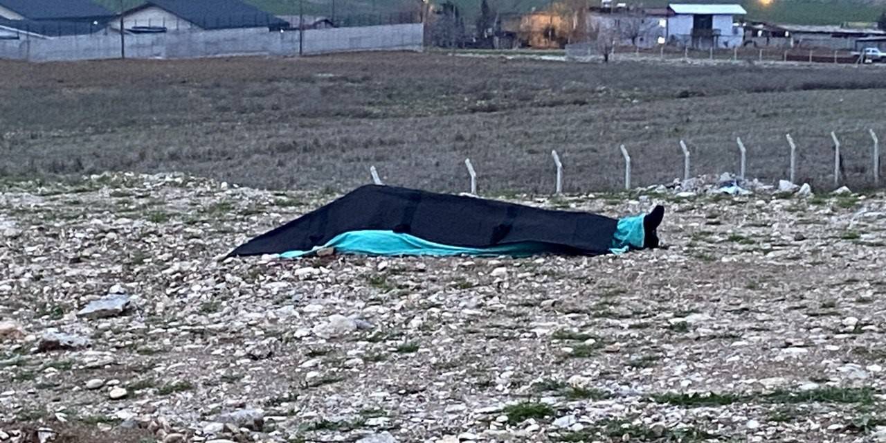 Hafif Ticari Aracın Çarptığı Yaya Hayatını Kaybetti