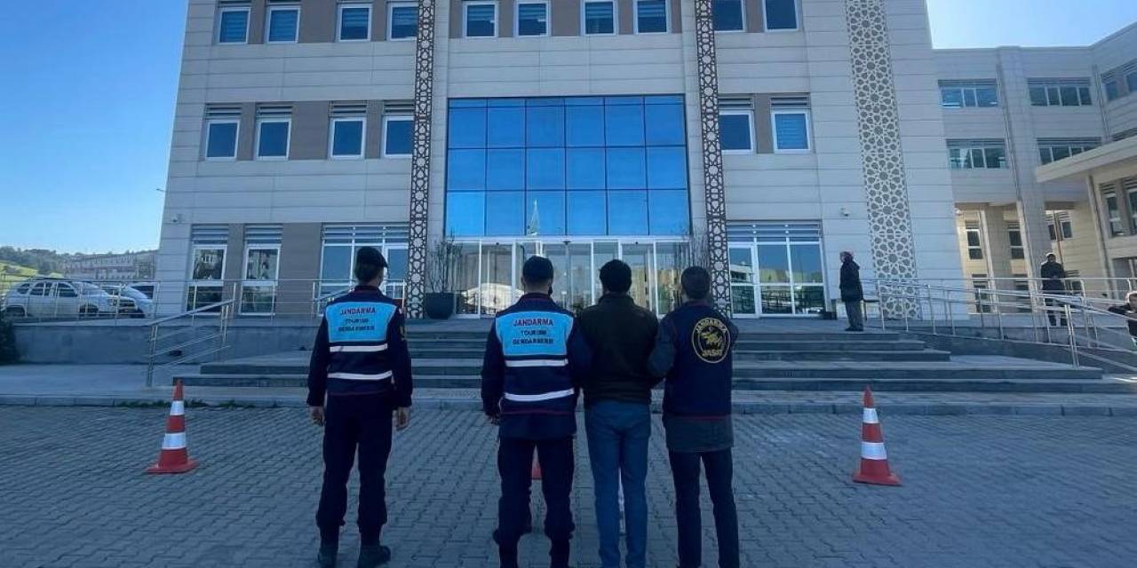 Çanakkale’de 1 Koç Ve 3 Koyun Çalan 2 Şüpheli Jandarma Tarafından Yakalandı