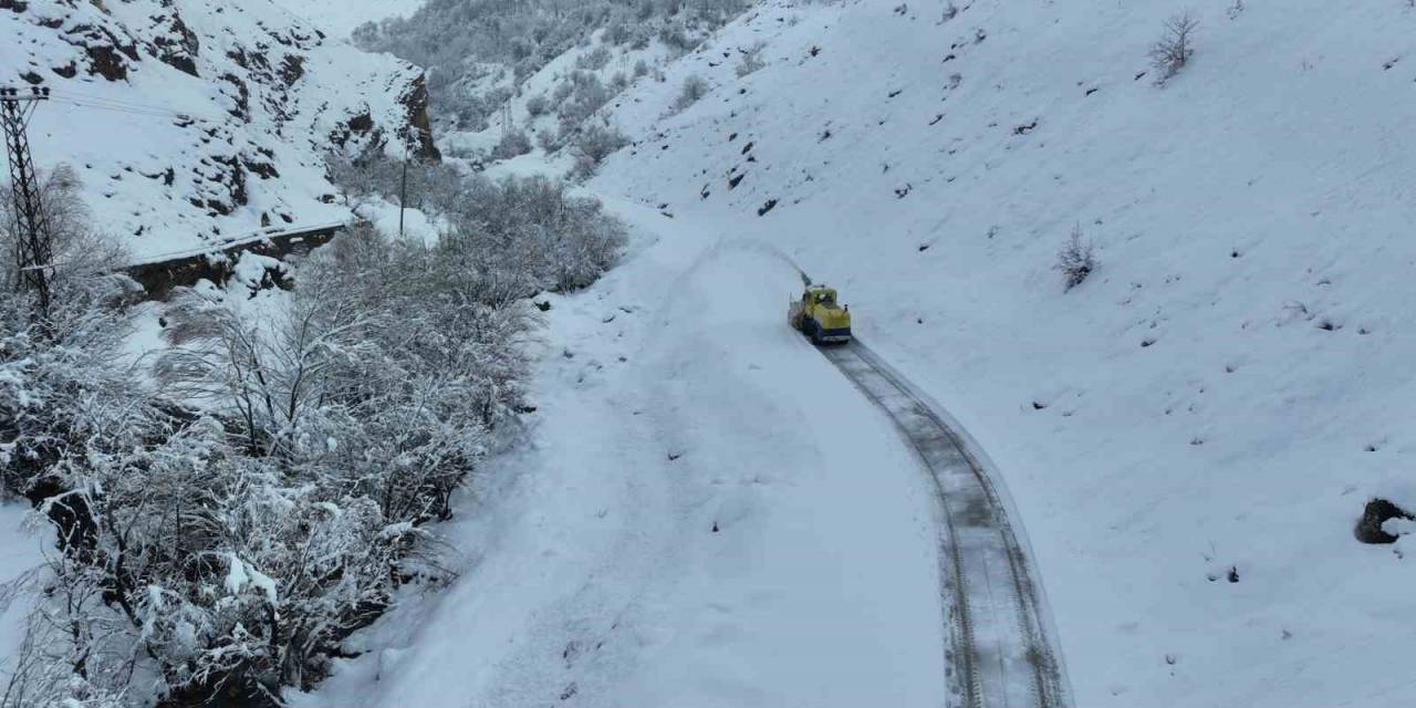 Bitlis’e Karla Mücadele Çalışmaları