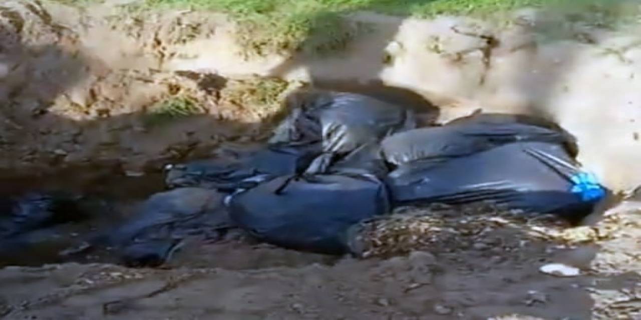 Hayvan Rehabilitasyon Merkezi’nde Gördüğü Manzara Karşısında Şok Oldu