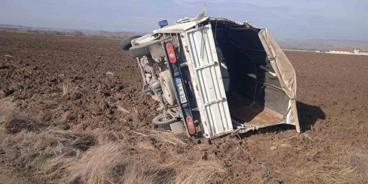 Kontrolden Çıkan Kamyonet Tarlaya Uçtu: 1 Yaralı