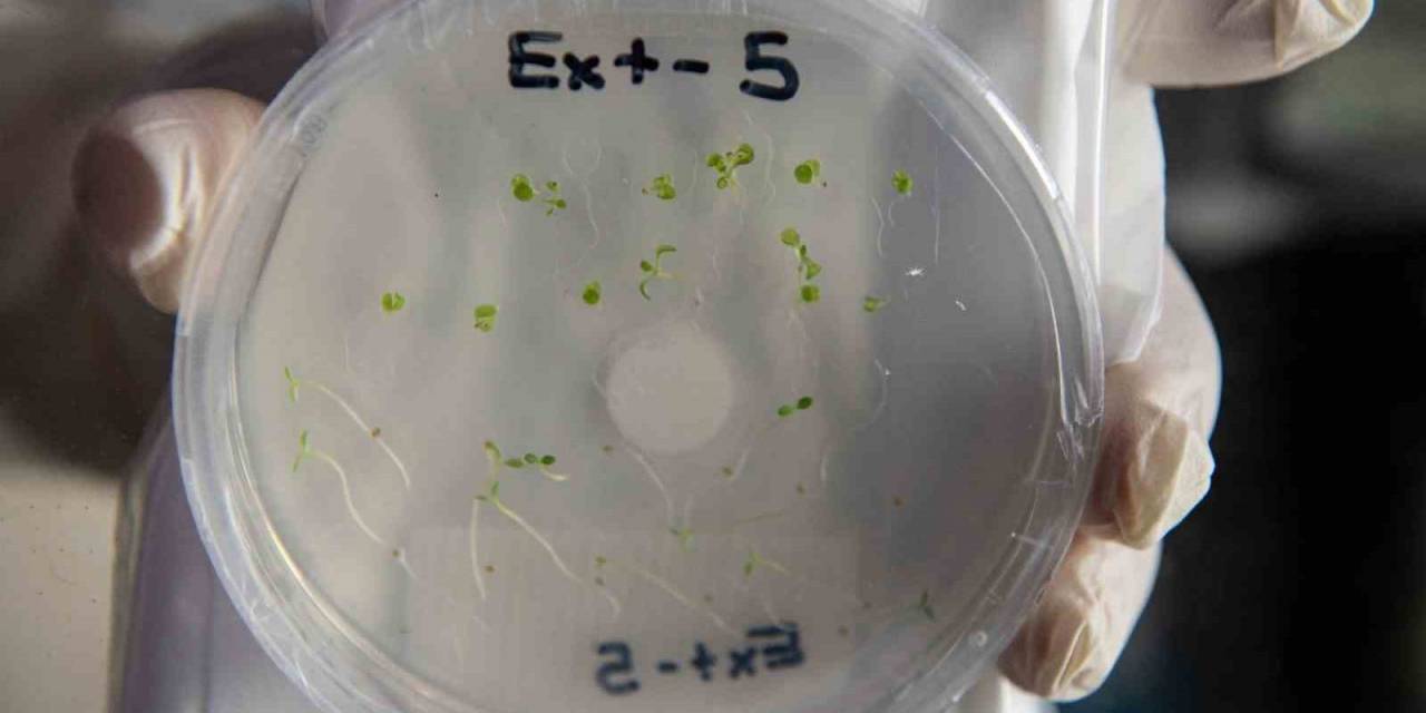 Gezeravcı, Uzayda Deney Yaparken Her Gün Görselleri Egeli Ekip İle Paylaştı