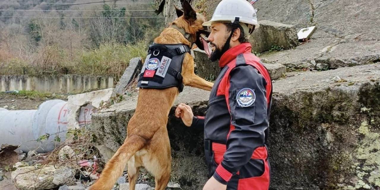 Körfez Afete Hazırlanıyor