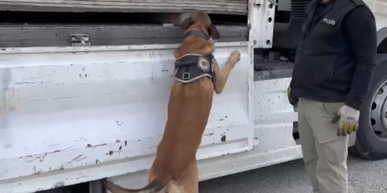 Suntaların İçinde 32 Milyon Tl’lik Uyuşturucu Çıktı