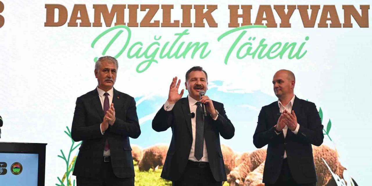 Balıkesir Büyükşehir Belediyesi, Savaştepe’de 550 Küçükbaş Dağıttı