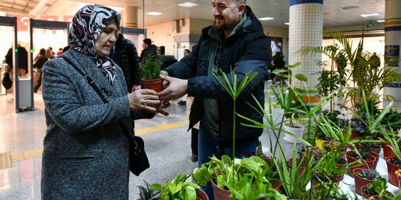 Abb ‘Çiçeğim Takas’ Uygulamasına Yeniden Başladı