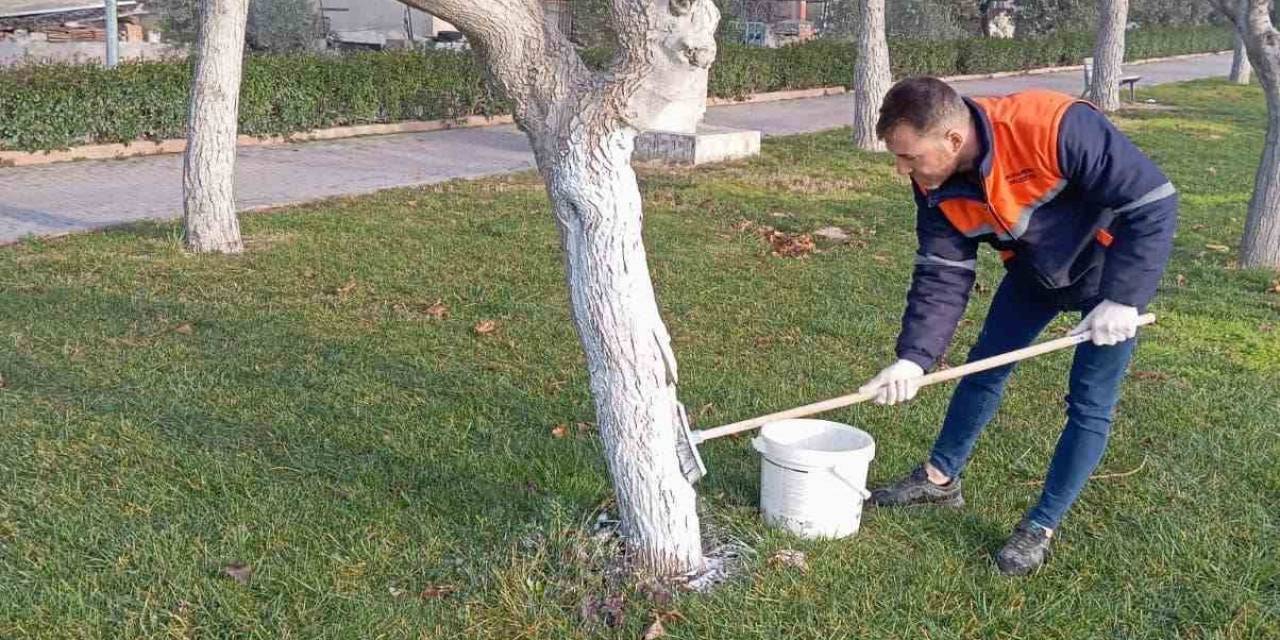 Buharkent Millet Bahçesi Yaza Hazırlanıyor