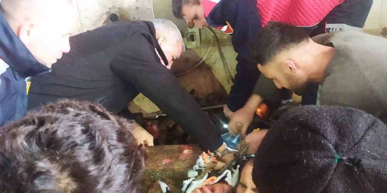 Mezbahada İşçi Kolunu Makineye Kaptırdı