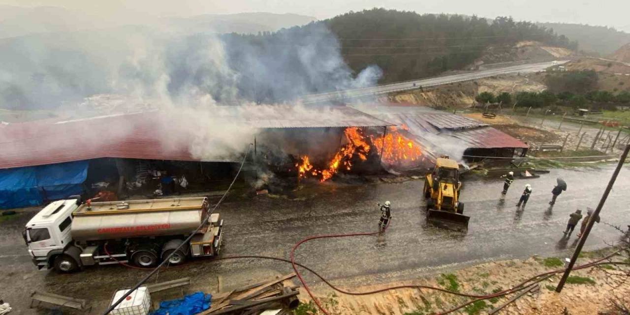 Çanakkale’de Dama Yıldırım Düşmesi Sonucu 2 Bin Balya Saman Yandı, 29 Büyükbaş Hayvan Yanmaktan Kurtarıldı