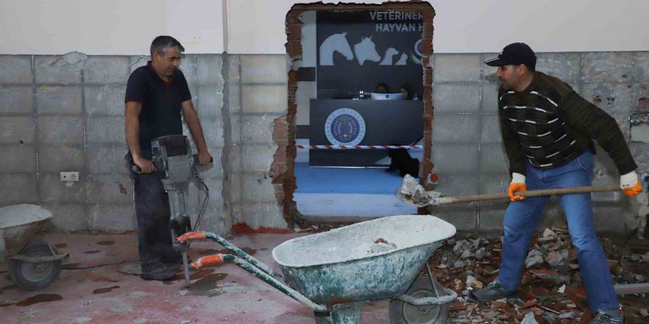 Hayvan Hastanesinde Yapım Onarım Çalışmaları Sürüyor