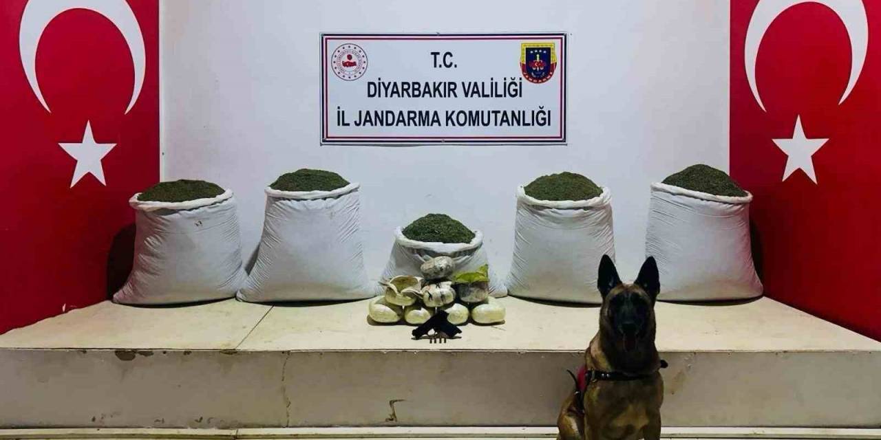 Lice’de 91 Kilo Esrar Ele Geçirildi