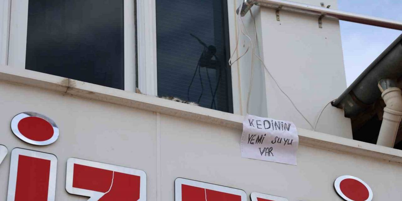 Kedi İçin Balkonuna Ekmek Atanları Yazı Asıp Uyardı: "Kedinin Yemi, Suyu Var"