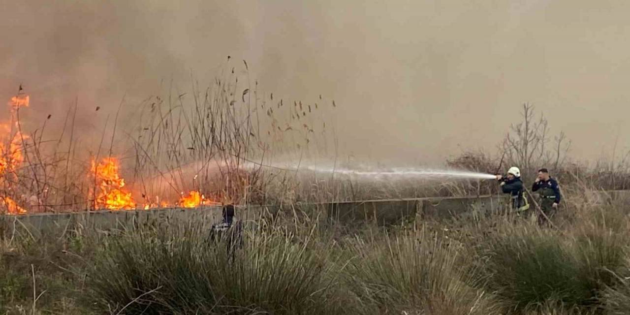 Sazlık Alanda Çıkan Yangın Korkuttu