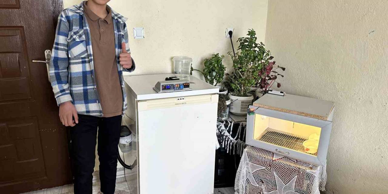 Yatak Odasında Civciv Üretimi