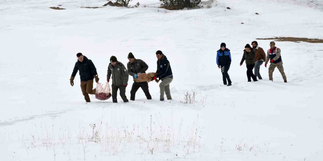 Ardahan’da Yaban Hayatı İçin Araziye Yem Bırakıldı