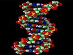 Ailenizde şeker hastası varsa dikkat!