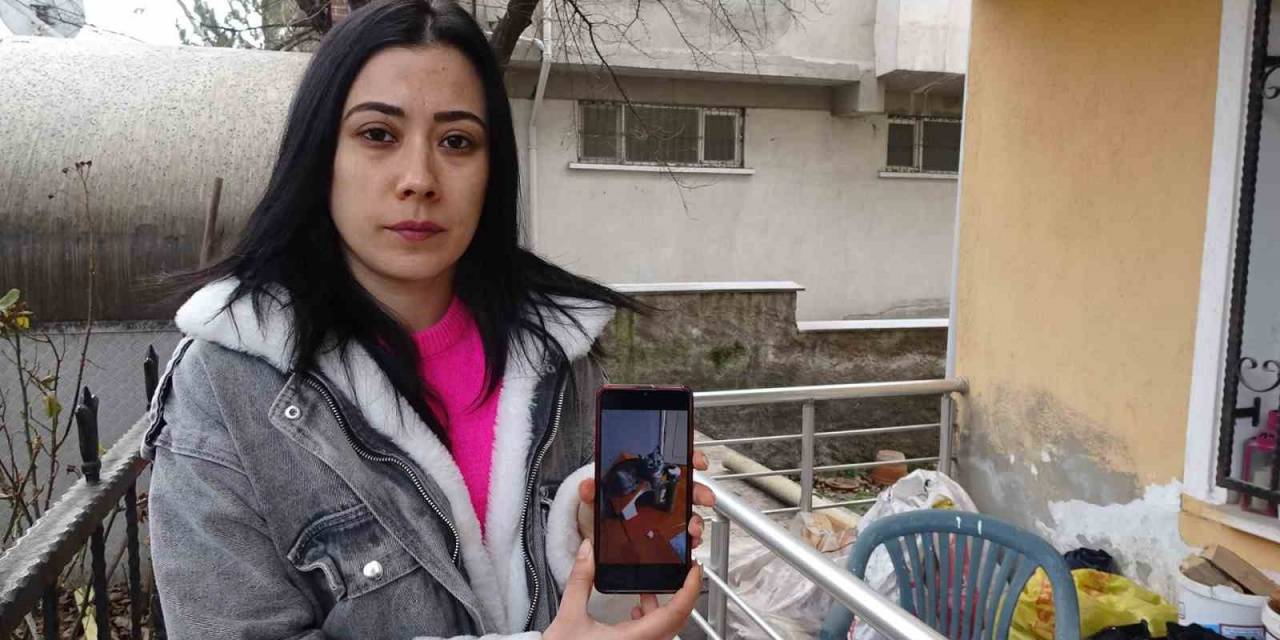Sahibi Ve Arkadaşı Kayıp Kediyi 3 Gündür Arıyor