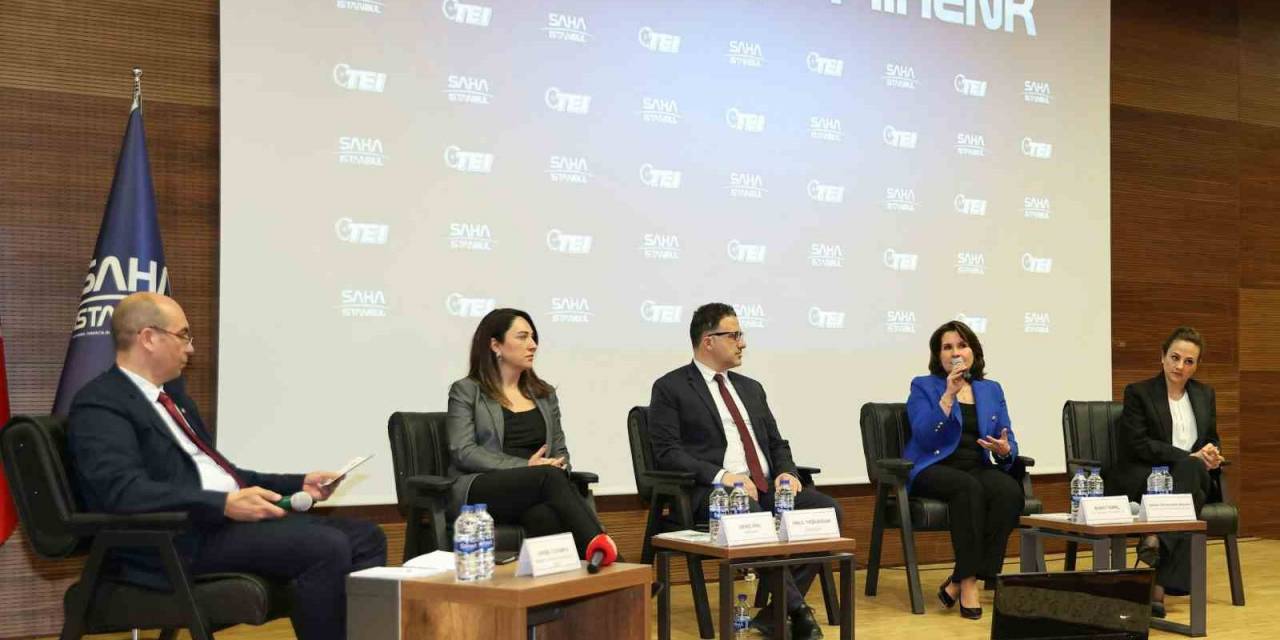 Saha Mihenk, Teı Liderliğinde Bir Araya Geldi