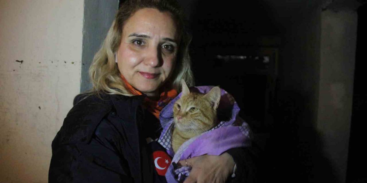 Sel Suyuyla Dolu Bodrum Katta Ölümü Göze Alıp Kedisini Kurtaran Kadın O Anları Anlattı