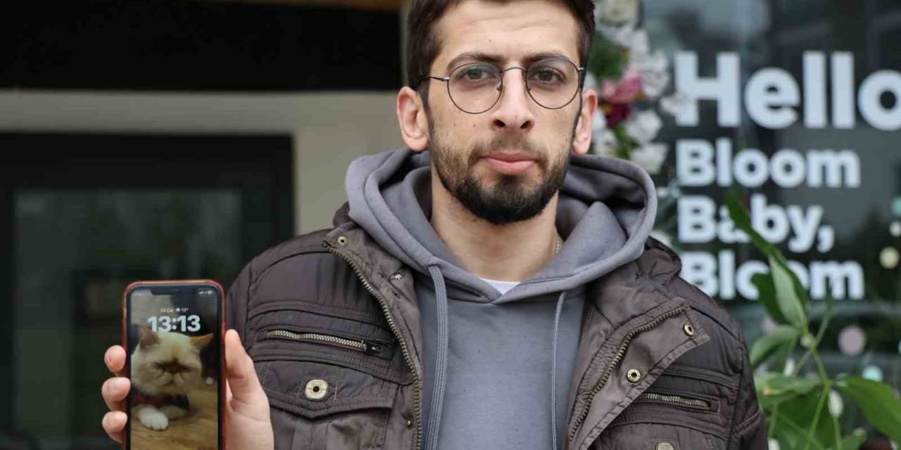 Ayrıldığı Sevgilisinin Kedisini Çaldığını Öne Sürerek Savcılığa Başvurdu