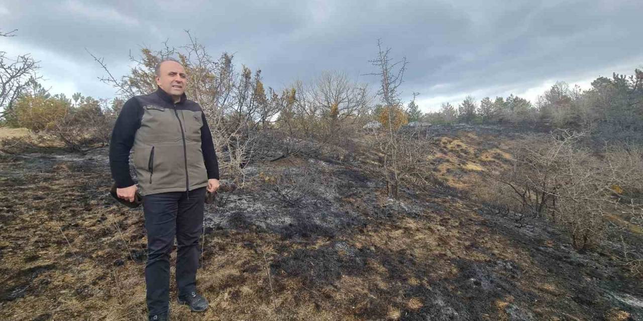 Orman Bölge Müdürü Bayraktaroğlu Çalışmaları İnceledi