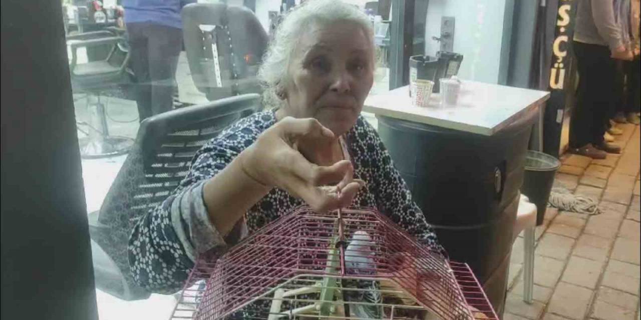 Evi Yanan Yaşlı Kadın, Can Yoldaşını Ölüme Terk Etmedi