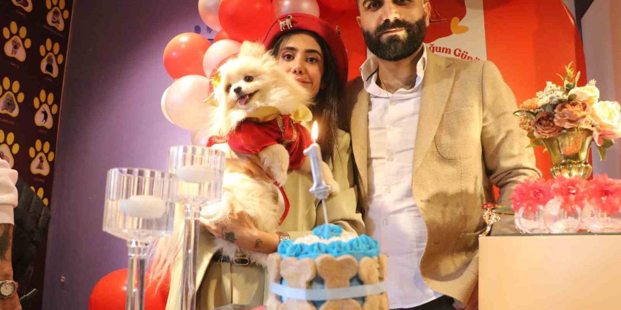 Nişanlı Çift Hayvanlara Şiddete Karşı Farkındalık Oluşturmak İçin Köpeklerine Doğum Günü Kutlaması Düzenledi