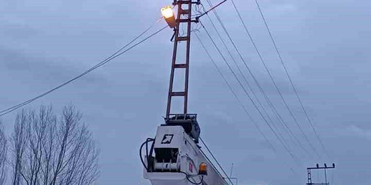 Yüksek Gerilim Hattına Takılan Güvercin Ekipler Tarafından Kurtarıldı