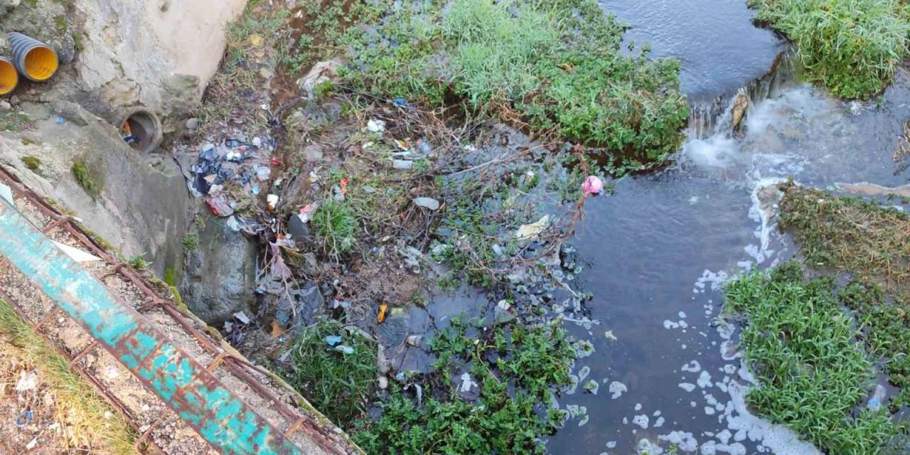 Avgun Deresi Korku Saçıyor