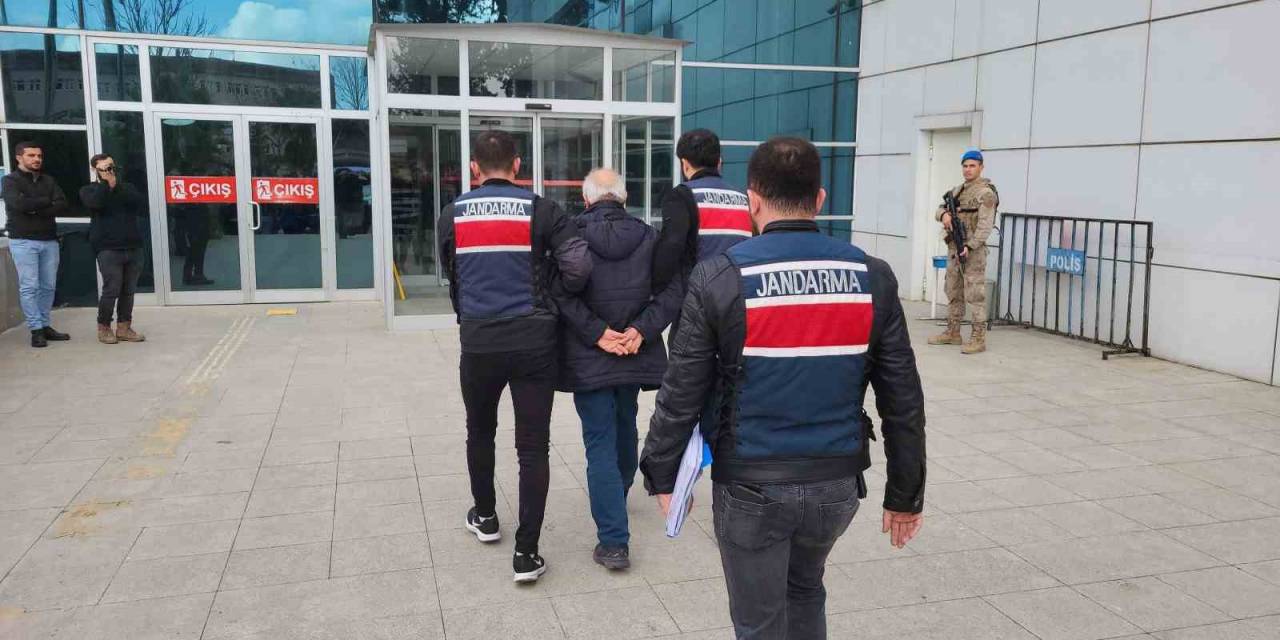 Dbp Parti Meclis Üyesi Gözaltına Alındı